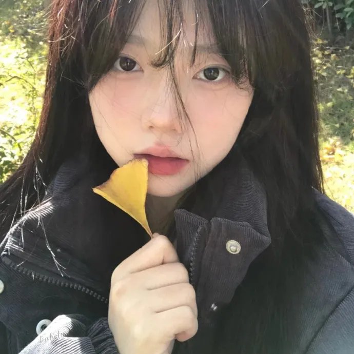 圣诞之声